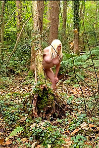 Woodland shoot in North Wales.
