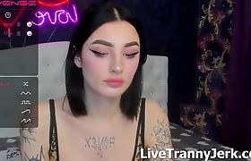 Evelyn Tranny Live Sex