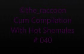 Cum Compilation With Hot Shemales 040