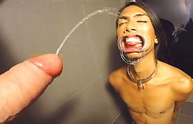Ladyboy Cat Gives Blowjob After Getting Pissed On