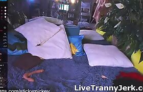 Mickeymarsss Trans Webcam Show